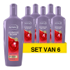 Aanbieding: Andrélon Levendige Kleur shampoo (6x 300 ml)