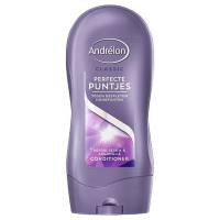 Andrelon Andrélon Perfecte Puntjes Conditioner (300 ml)  SAN00155