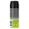 Axe Epic Fresh Deodorant & Body Spray (150 ml)  SAX00178 - 3