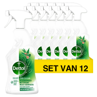 Dettol Aanbieding: 12x Dettol Allesreiniger Tru Clean Eucalyptus Spray (500 ml)  SDE01076