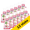 Aanbieding: 12x Dettol handzeep Rose & Cherry (250 ml)