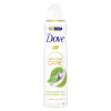 Dove Deodorant Spray Matcha & Sakura (150 ml)  SDO00450 - 1