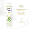 Dove Deodorant Spray Matcha & Sakura (150 ml)  SDO00450 - 4