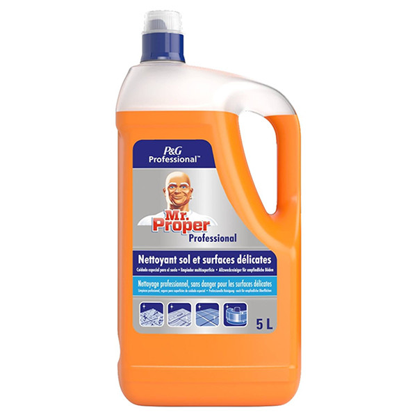 Mr-Proper Mr. Proper Professional Special Care Allesreiniger (5 L)  SMR00047 - 1