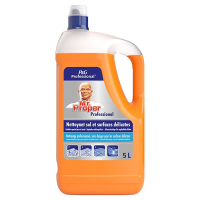 Mr-Proper Mr. Proper Professional Special Care Allesreiniger (5 L)  SMR00047