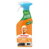 Mr. Proper allesreiniger spray & ontvetter mandarijn (500 ml)