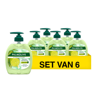 6 flessen van 300 ml