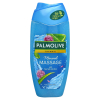 Palmolive douchegel Aroma Sensations Feel The Massage (250 ml)
