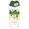 Palmolive douchegel Naturals Camellia Oil & Almond (250 ml)