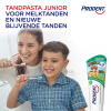 Prodent Tandpasta Junior Super Mario 6-13 Jaar (75 ml)  SPR00079 - 7