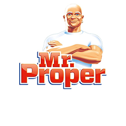 Mr Proper Professional